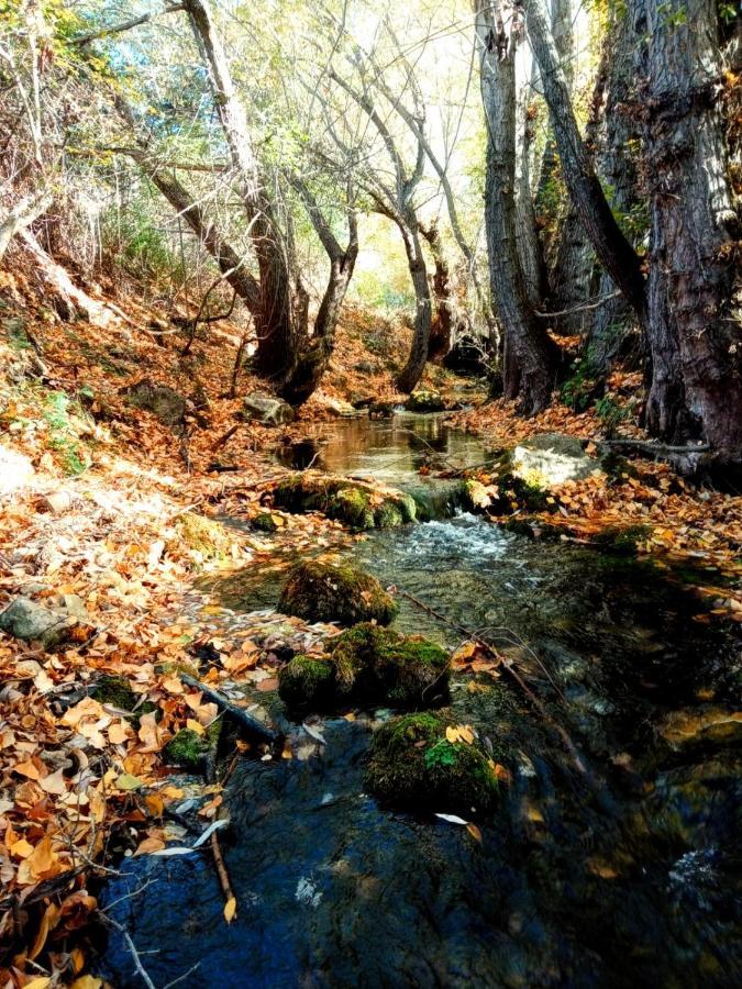 Alojamiento Rural Los Hacheros Tragacete Exteriér fotografie