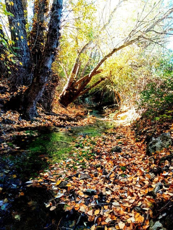 Alojamiento Rural Los Hacheros Tragacete Exteriér fotografie