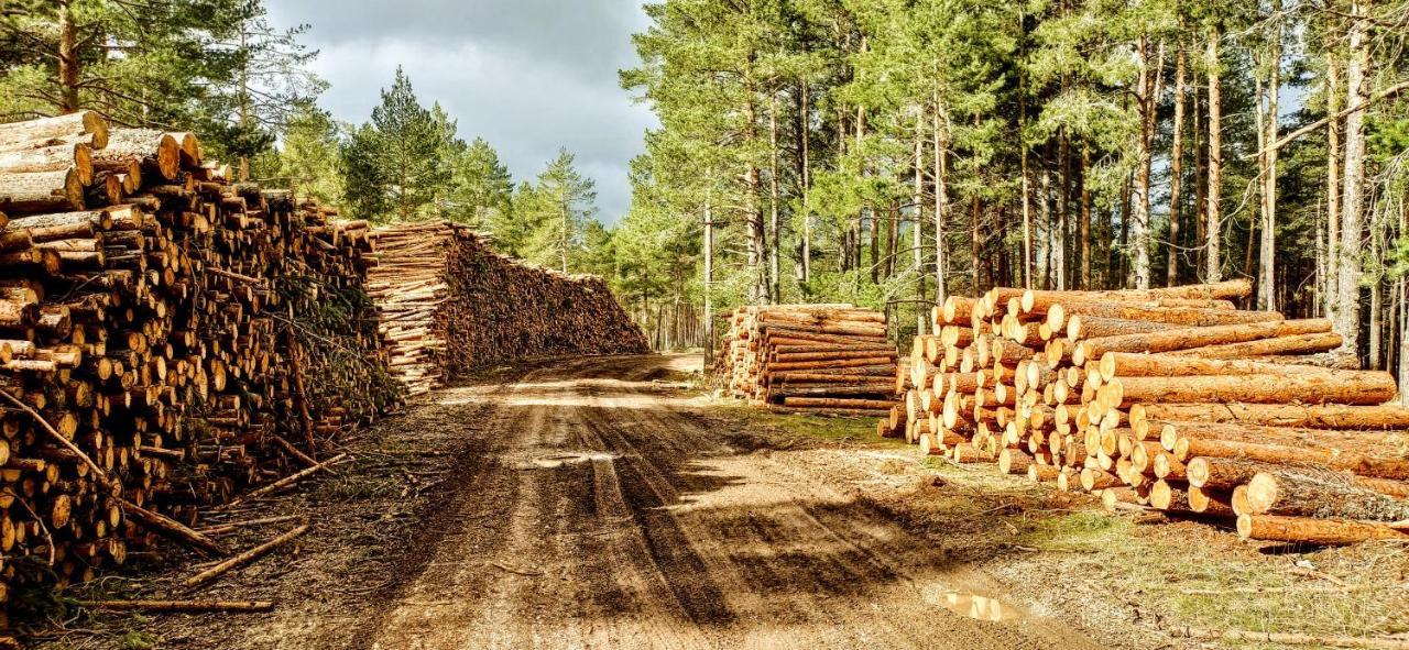 Alojamiento Rural Los Hacheros Tragacete Exteriér fotografie