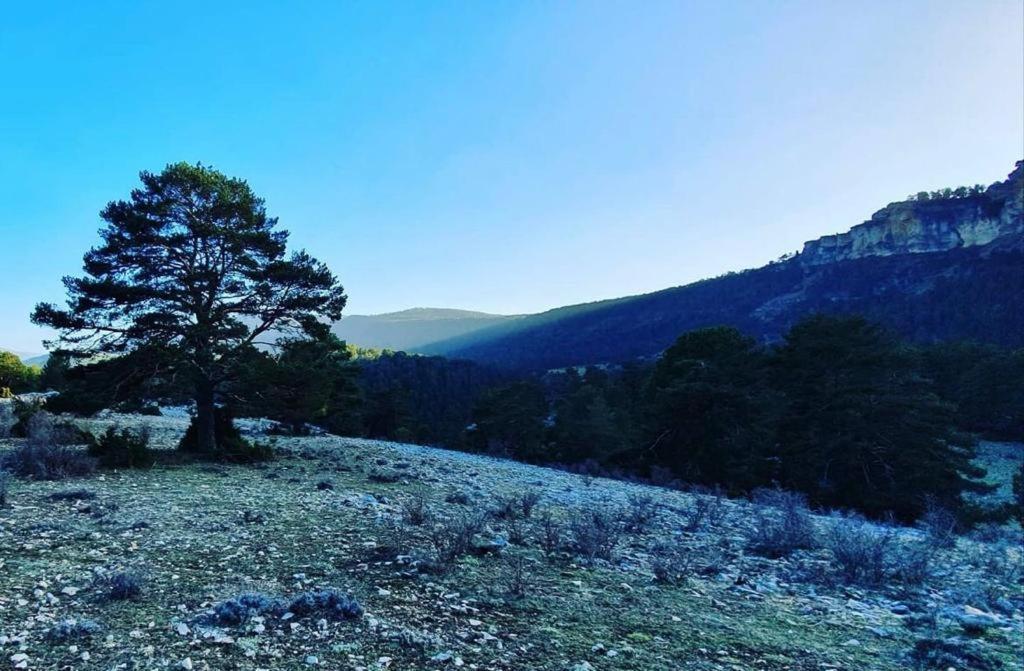 Alojamiento Rural Los Hacheros Tragacete Exteriér fotografie