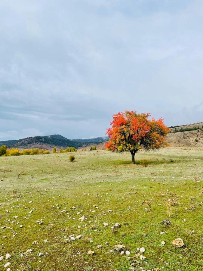 Alojamiento Rural Los Hacheros Tragacete Exteriér fotografie