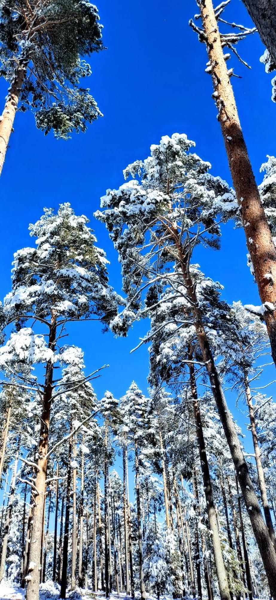 Alojamiento Rural Los Hacheros Tragacete Exteriér fotografie