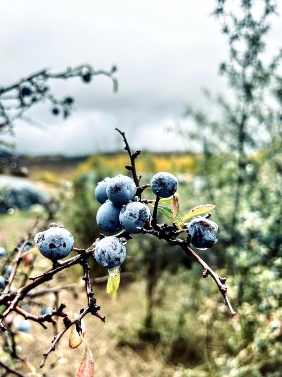 Alojamiento Rural Los Hacheros Tragacete Exteriér fotografie
