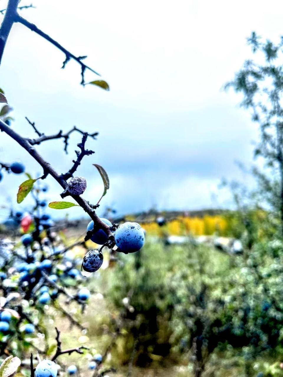 Alojamiento Rural Los Hacheros Tragacete Exteriér fotografie