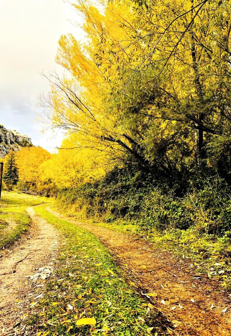 Alojamiento Rural Los Hacheros Tragacete Exteriér fotografie